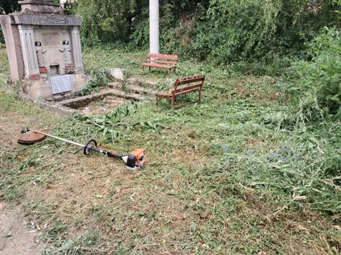 Запуштениот простор околу Даревица со дива вегетација, при расчистување